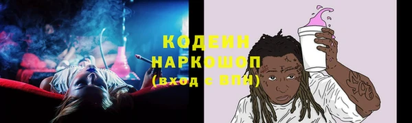 индика Вязники