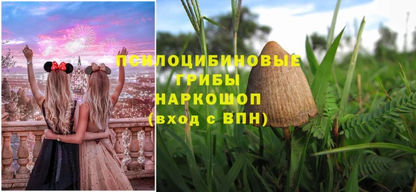 ешки Волоколамск