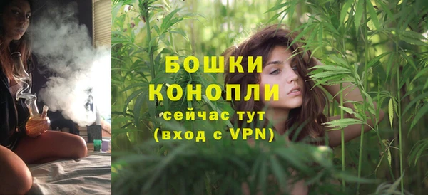 гашик Волосово